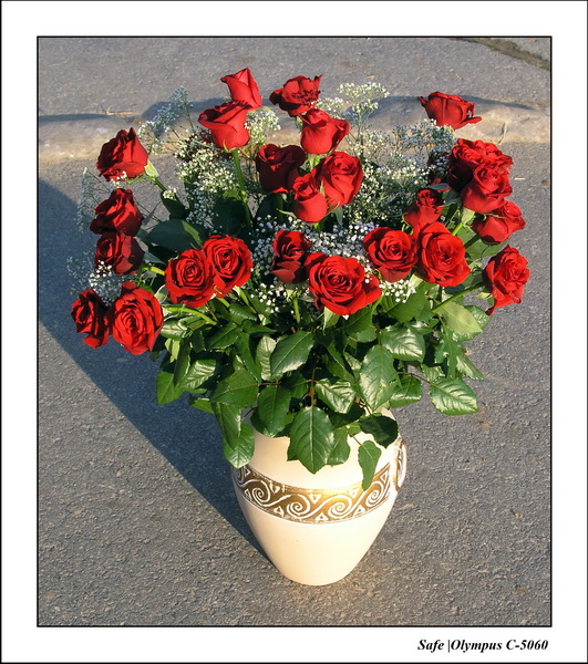 2006 - 05 - Auvers saint georges 07